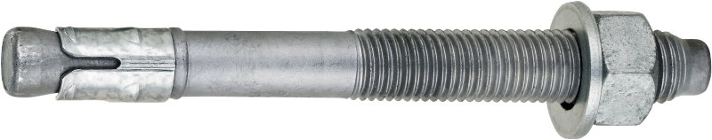 A259310060_1