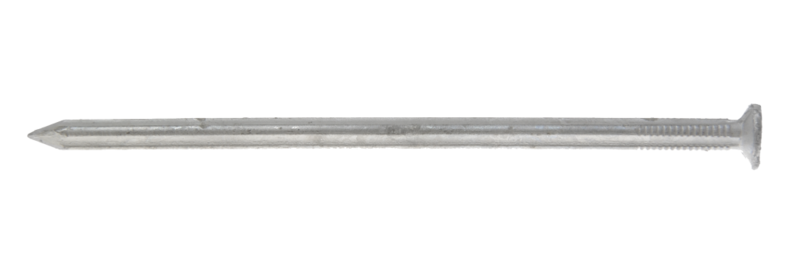 GZ175801_01