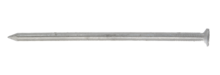 GZ175801_01
